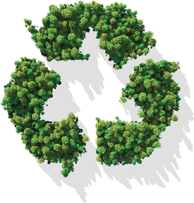 Dongyang Lishi Plastic Co., Ltd.